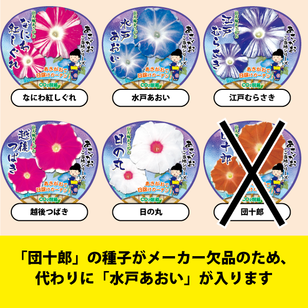 【26春夏5月下旬納品】朝顔ご当地シリーズ5品種アソート