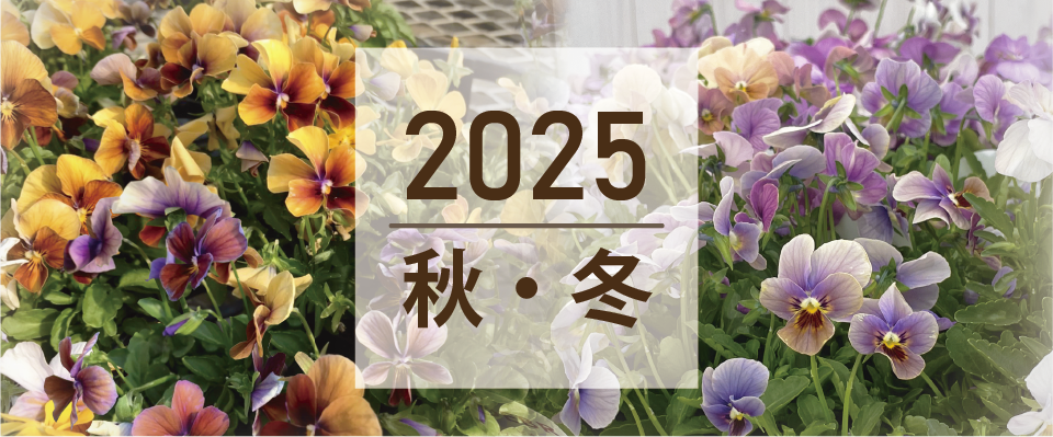 2025秋・冬