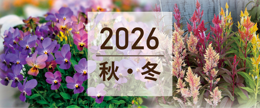 2026秋・冬